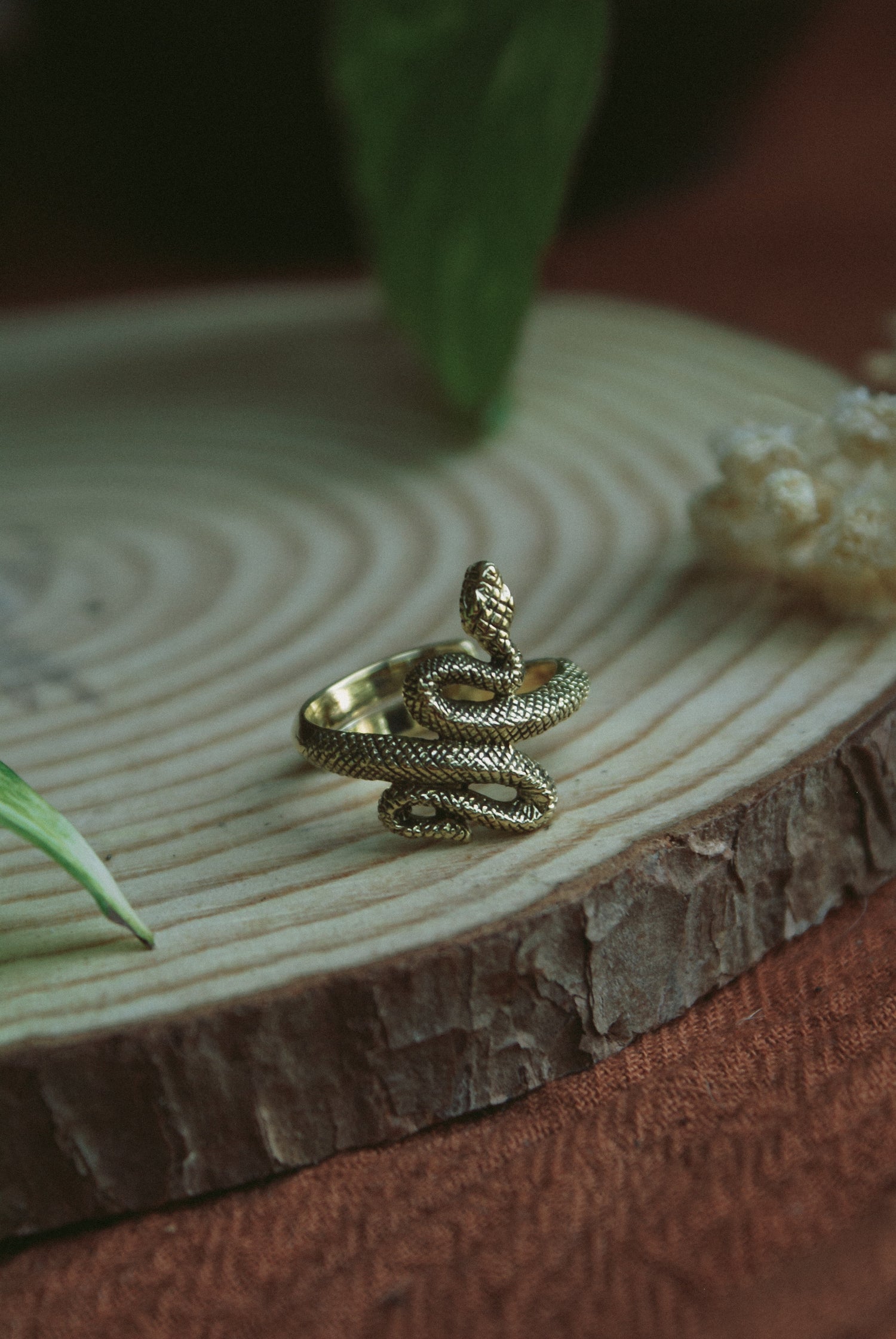 Ringe
